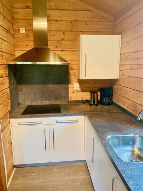 2 Bedroom Fins Chalet Gramsbergen Eksteriør billede